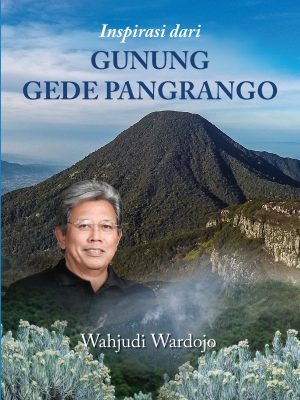 Untitled Extract Pages