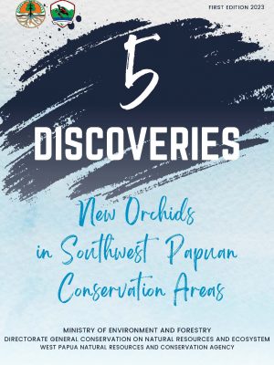 Untitled Extract Pages